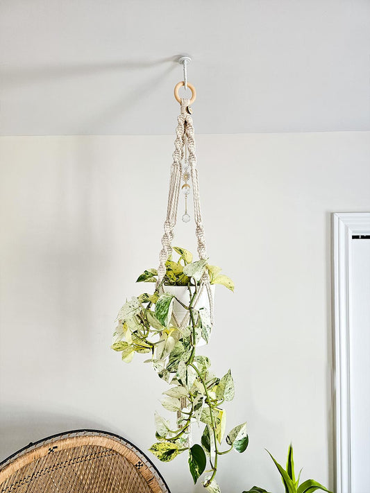 JARDINIÈRE LIORA, jardinière en macramé avec capteur de soleil